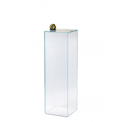 Glass Plinth