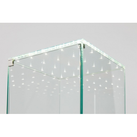Glass Display Case with Integrated LEDs and a Door