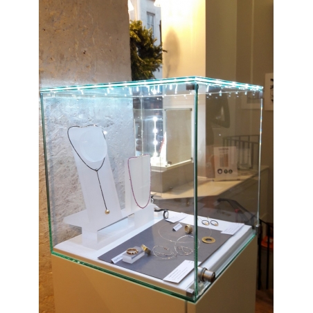 Glass Display Case with Integrated LEDs and a Door