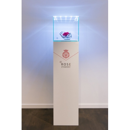 Glass Display Case with Integrated LEDs and a Door