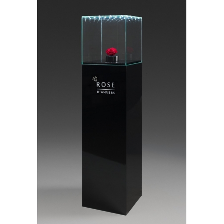 Glass Display Case with Integrated LEDs and a Door