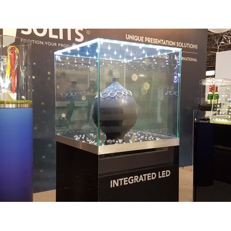 Glass Display Case with Integrated LEDs and a Door