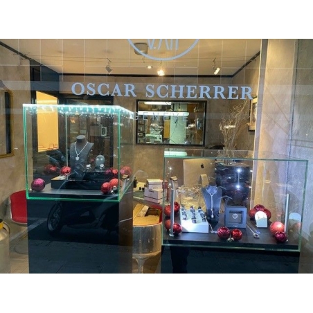 Glass Display Case with Integrated LEDs and a Door
