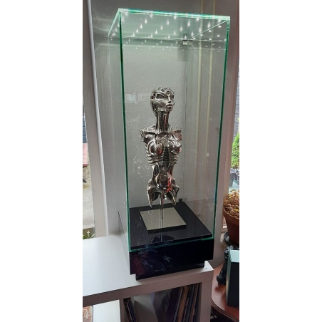 Glass Display Case with Integrated LEDs and a Door