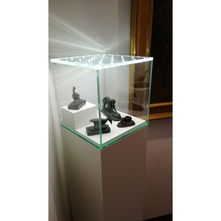Glass Display Case with Integrated LEDs and a Door