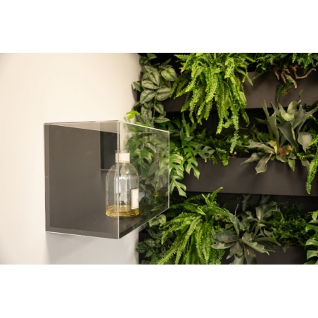 Wall Display Bastia