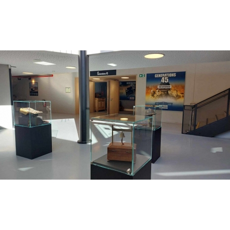 Glass Display Case with a Door
