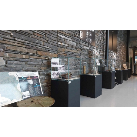 Glass Display Case with a Door