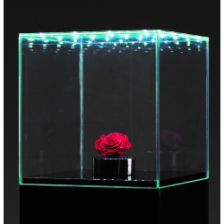 Glass Display Case with Integrated LEDs and a Door