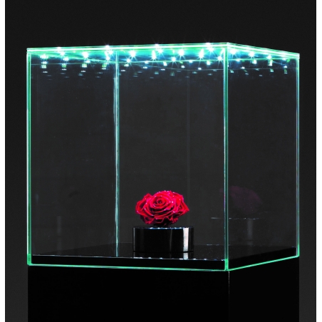 Glass Display Case with Integrated LEDs and a Door