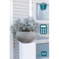 Solits Plinth White - Outdoor