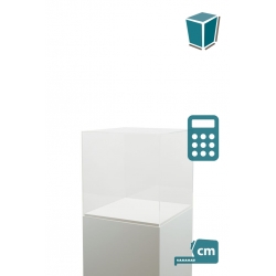 Acrylic Display Case