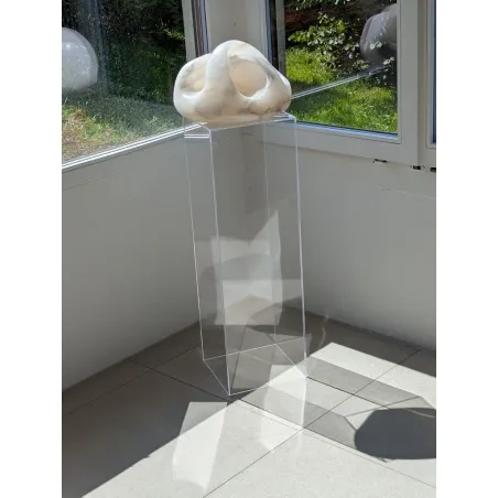 Acrylic plinth | perspex exhibition pedestal and displays