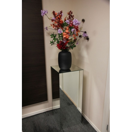 Mirrored plinth glass