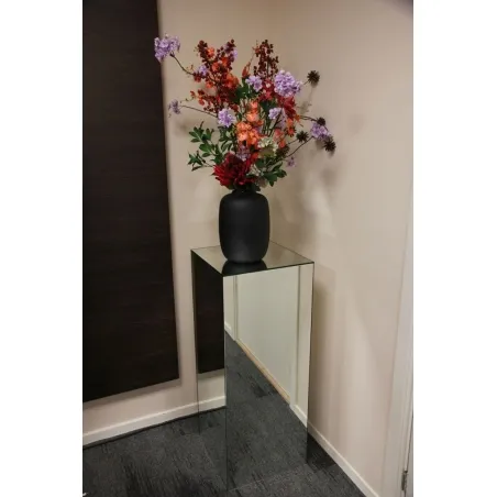 Mirrored plinth glass