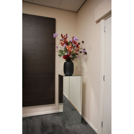 Mirrored plinth glass