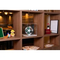 Acrylic Display Case