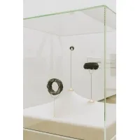 Glass Display Case