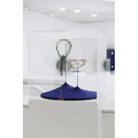 Acrylic Display Case