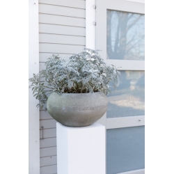 Solits Plinth White - Outdoor