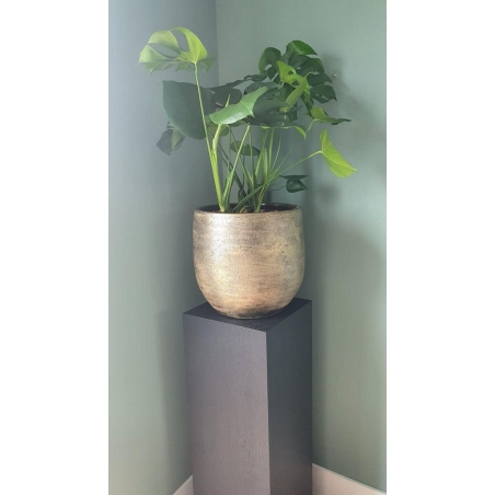 Black Oak Veneer Plinth