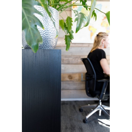 Black Oak Veneer Plinth