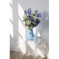 Acrylic Plinth