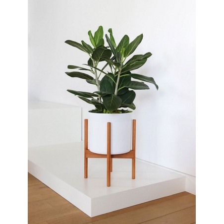 Solits Plinth White