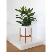 Solits Plinth White