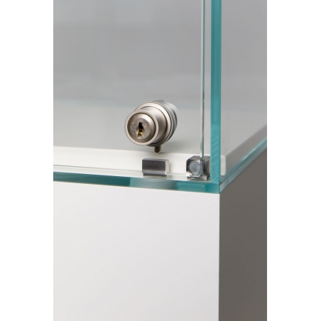 Glass Display Case with a Door