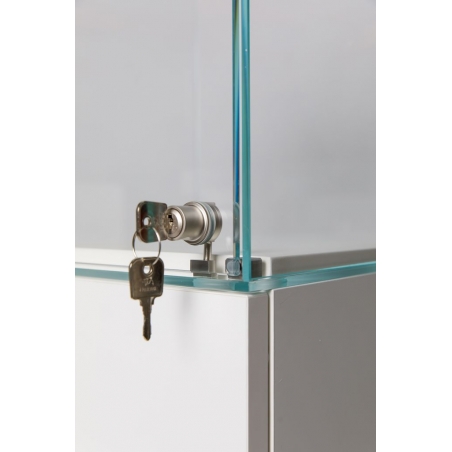 Glass Display Case with a Door