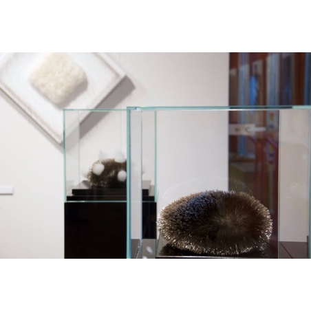Glass Display Case Glass Display Case