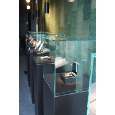 Glass Display Case Glass Display Case