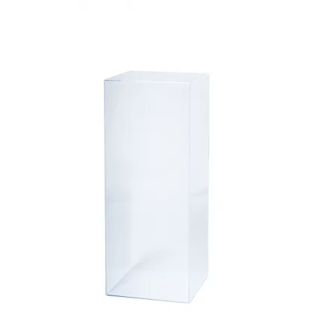 Acrylic Plinth