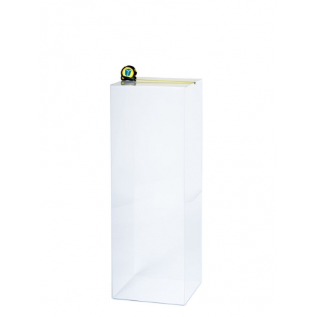 Acrylic Plinth