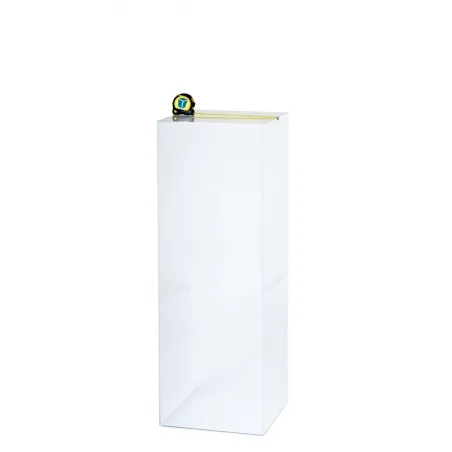 Acrylic Plinth