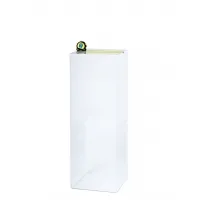 Acrylic Plinth