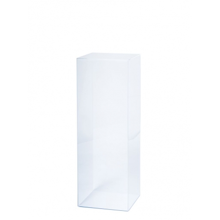 Acrylic Plinth