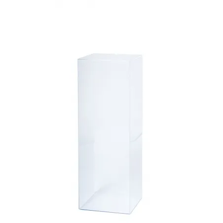 Acrylic Plinth