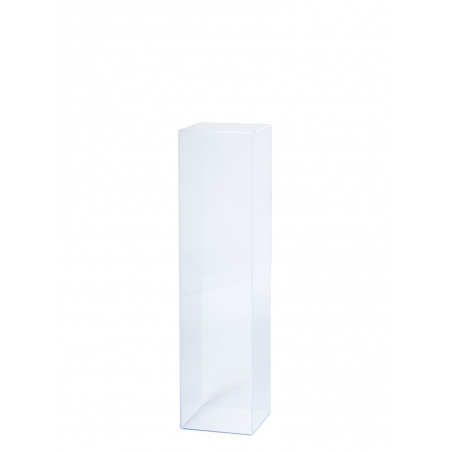Acrylic Plinth