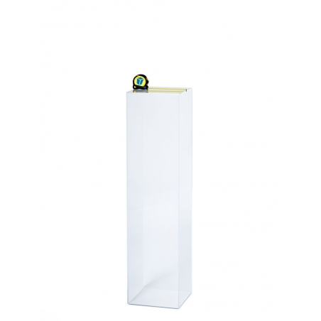 Acrylic Plinth