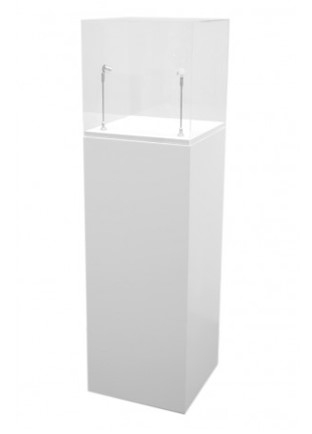 Plinth with a display case