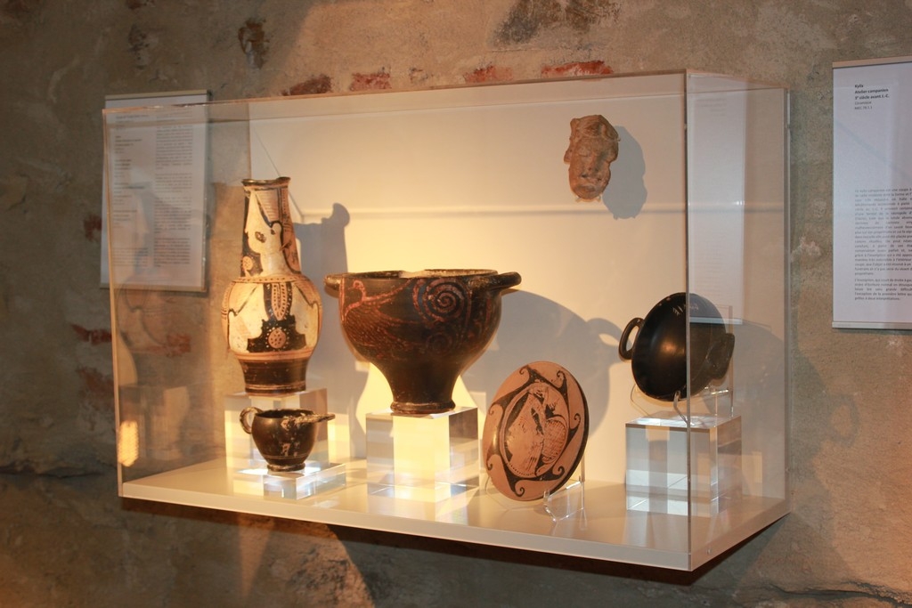 Wall display case and painting protector cases