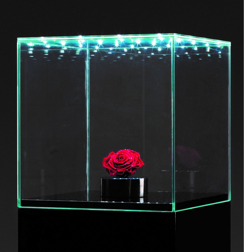 Glass display case with integrated leds and a door