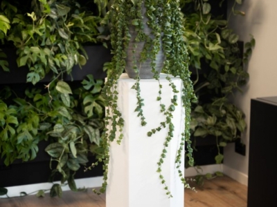Hexagonal Wonder: Discover our Hexagon Plinth