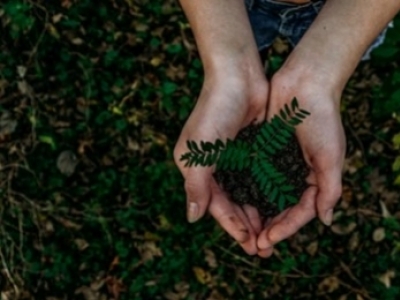 Sustainability and ethics are important to Solits